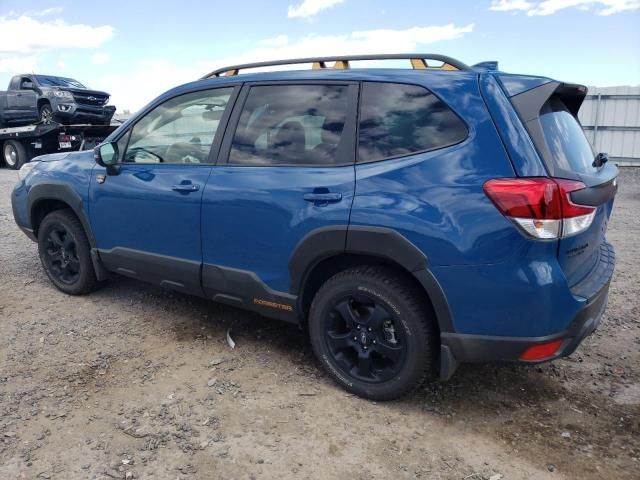 2023 Subaru Forester Wilderness