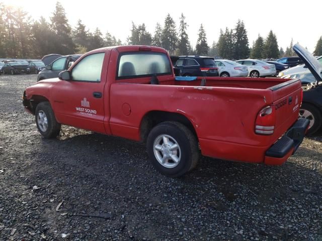 2000 Dodge Dakota