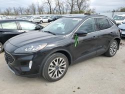 Salvage cars for sale at Bridgeton, MO auction: 2020 Ford Escape Titanium