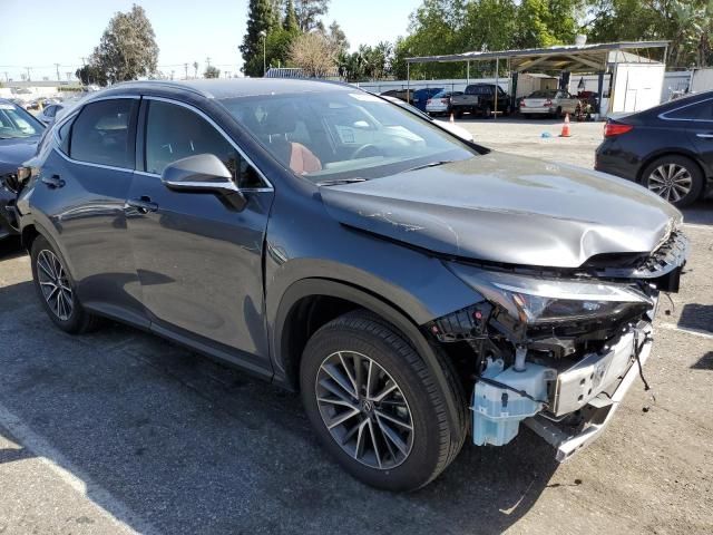 2024 Lexus NX 250 Base