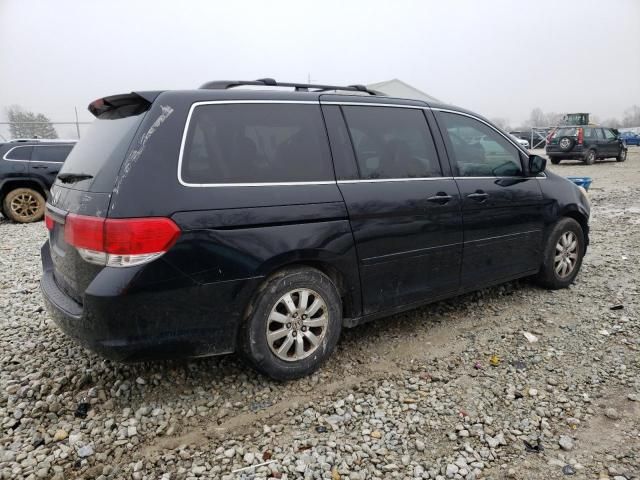 2008 Honda Odyssey EXL