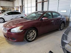 Nissan Maxima S salvage cars for sale: 2010 Nissan Maxima S