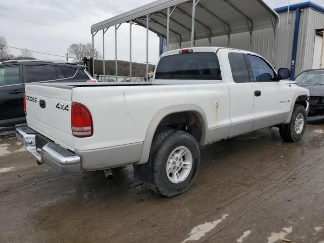 2000 Dodge Dakota