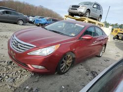 Salvage cars for sale from Copart Windsor, NJ: 2011 Hyundai Sonata SE
