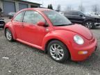 2002 Volkswagen New Beetle GLS TDI