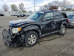 Salvage cars for sale from Copart Moraine, OH: 2010 Ford Escape Limited