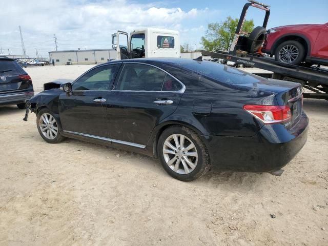 2010 Lexus ES 350