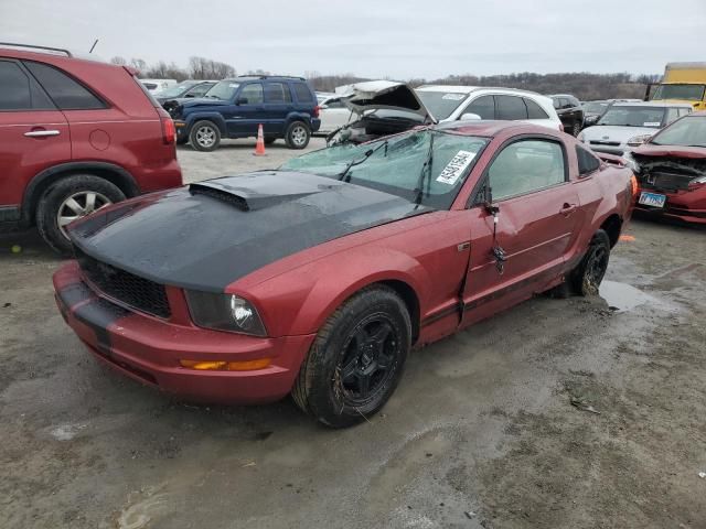 2006 Ford Mustang