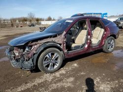 Salvage cars for sale at Columbia Station, OH auction: 2014 Honda Crosstour EXL