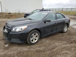 Salvage cars for sale from Copart Portland, MI: 2013 Chevrolet Malibu LS