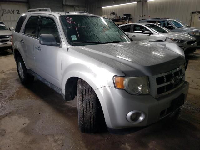 2011 Ford Escape XLT