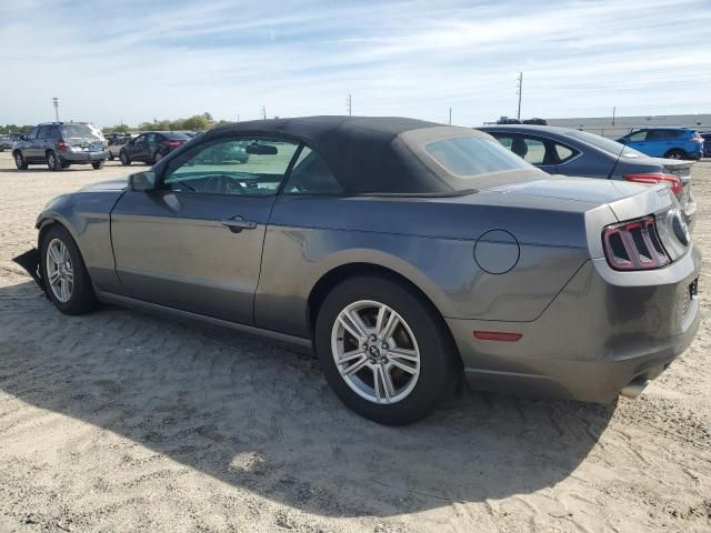 2014 Ford Mustang