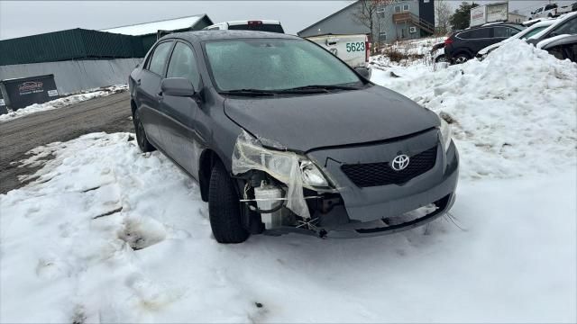 2009 Toyota Corolla Base