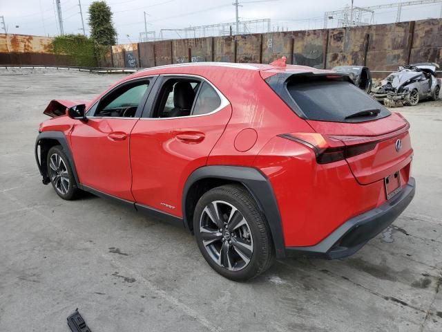 2019 Lexus UX 250H