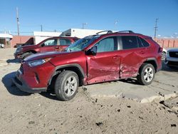 Salvage cars for sale from Copart Sun Valley, CA: 2020 Toyota Rav4 XLE