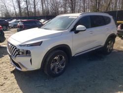 Salvage cars for sale at Waldorf, MD auction: 2022 Hyundai Santa FE SEL