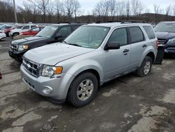 Ford salvage cars for sale: 2011 Ford Escape XLT