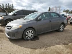 Salvage cars for sale from Copart Bowmanville, ON: 2013 Toyota Corolla Base