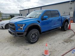 Salvage cars for sale from Copart Arcadia, FL: 2019 Ford F150 Raptor