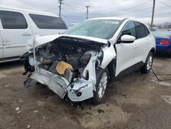 Vehiculos salvage en venta de Copart Chicago Heights, IL: 2020 Ford Escape SE