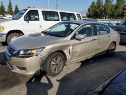 Salvage cars for sale from Copart Rancho Cucamonga, CA: 2013 Honda Accord LX