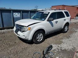 Ford salvage cars for sale: 2012 Ford Escape XLT