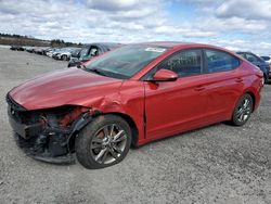 Hyundai Elantra salvage cars for sale: 2017 Hyundai Elantra SE