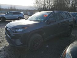 Salvage cars for sale from Copart Arlington, WA: 2019 Toyota Rav4 LE