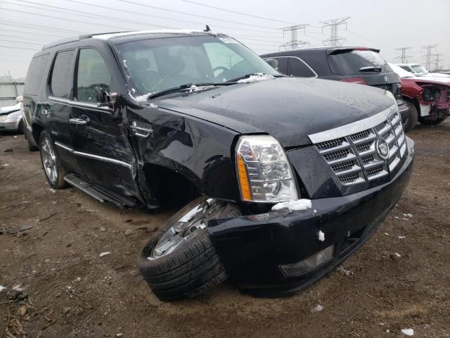 2008 Cadillac Escalade Luxury