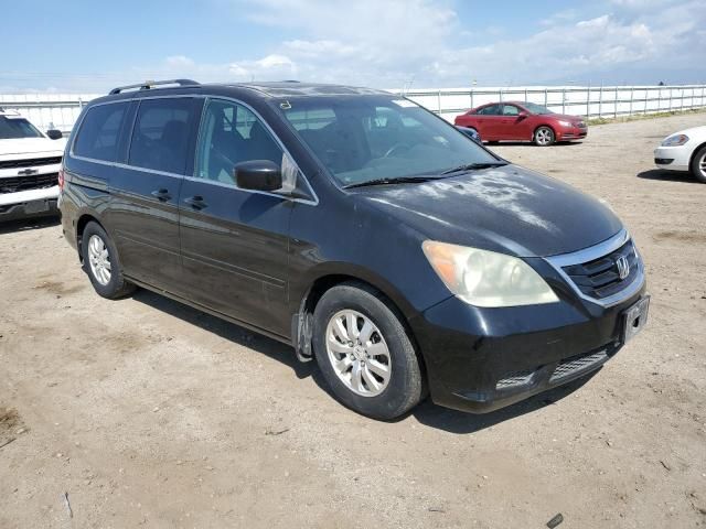 2010 Honda Odyssey EXL