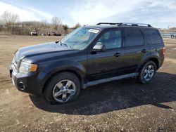 Vehiculos salvage en venta de Copart Columbia Station, OH: 2011 Ford Escape Limited