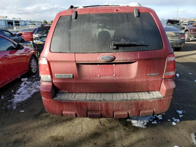 2009 Ford Escape XLT