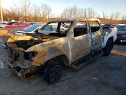 Salvage cars for sale at Marlboro, NY auction: 2020 Toyota Tacoma Double Cab