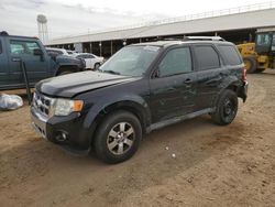 2010 Ford Escape Limited en venta en Phoenix, AZ