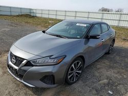 Nissan salvage cars for sale: 2023 Nissan Maxima SV