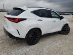 2024 Lexus NX 350 Luxury