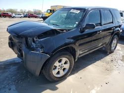 Salvage cars for sale from Copart Cahokia Heights, IL: 2005 Ford Escape XLT