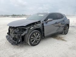 Salvage cars for sale at Arcadia, FL auction: 2019 Lexus UX 200