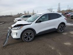 Salvage cars for sale from Copart Montreal Est, QC: 2022 Ford Escape SE