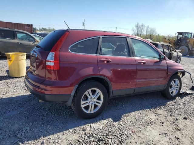 2010 Honda CR-V EXL