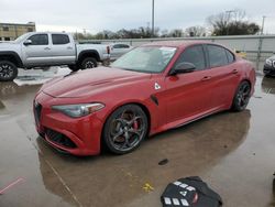 Alfa Romeo salvage cars for sale: 2019 Alfa Romeo Giulia Quadrifoglio