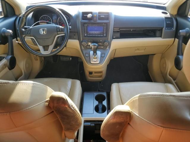 2010 Honda CR-V EXL