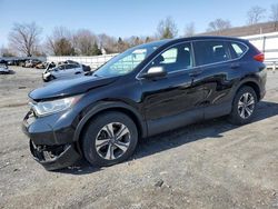 Honda CR-V LX salvage cars for sale: 2019 Honda CR-V LX