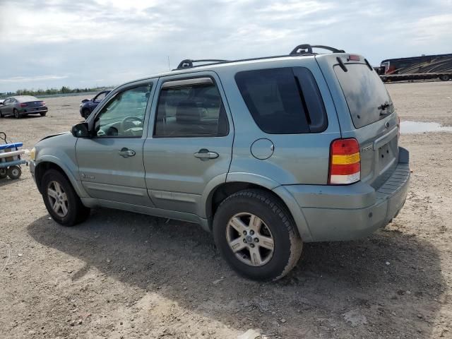 2006 Ford Escape HEV