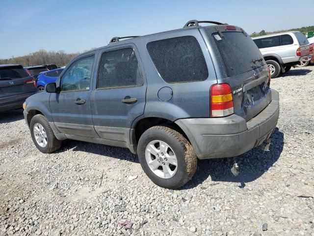 2006 Ford Escape XLT