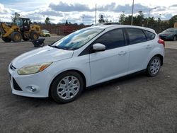 Ford Focus salvage cars for sale: 2014 Ford Focus SE