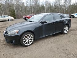 Salvage cars for sale from Copart Ontario Auction, ON: 2011 Lexus IS 250