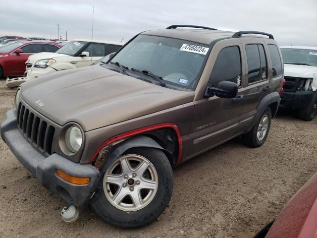 2002 Jeep Liberty Sport