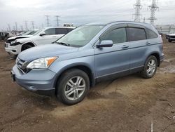 Salvage cars for sale at Elgin, IL auction: 2010 Honda CR-V EXL