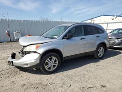 Salvage cars for sale at Albany, NY auction: 2010 Honda CR-V EX